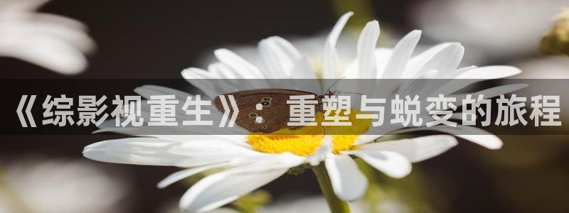 草莓视频污下载观看：《综影视重生》：重塑与蜕变的旅程