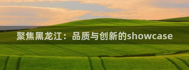 草莓视频地址免费：聚焦黑龙江：品质与创新的showcase