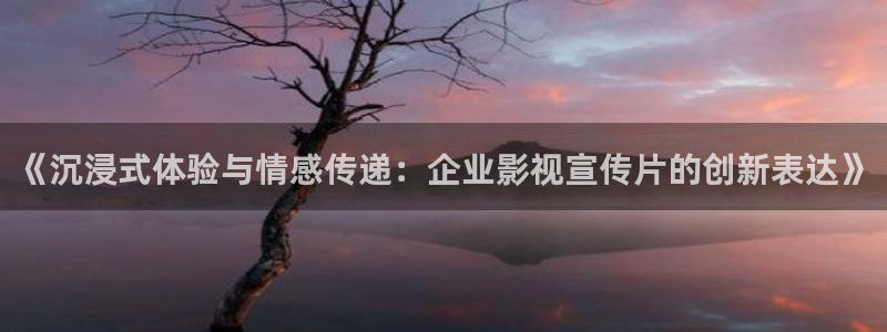 草莓69cm.tv视频：《沉浸式体验与情感传递：企业影视宣传片的创新表达》