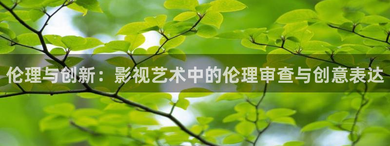 草莓视频新版本下载
