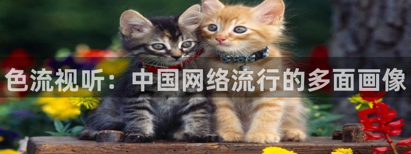青青草原草莓视频：色流视听：中国网络流行的多面画像