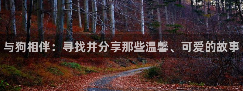 草莓视频is