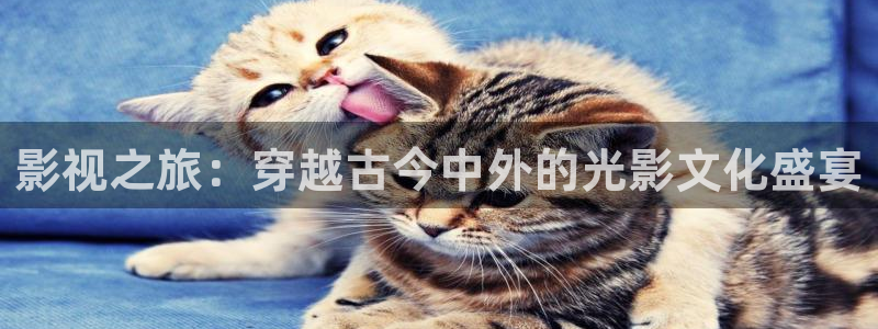 草莓视频最新官网下载